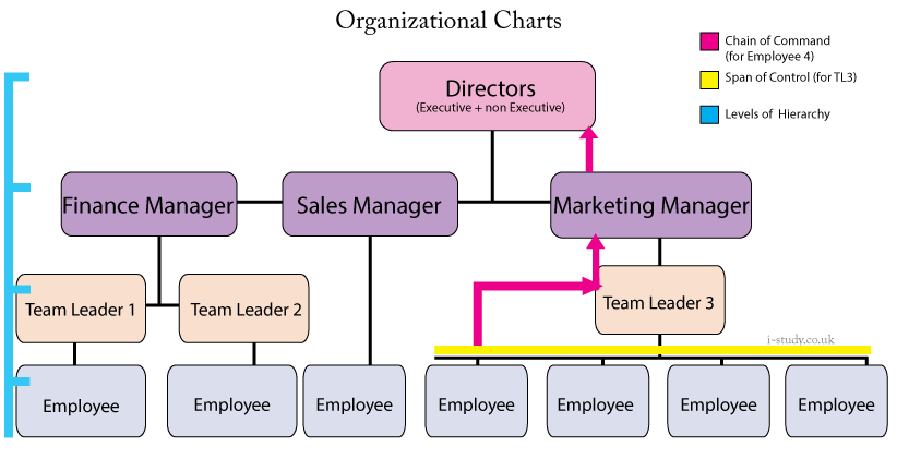 Ib business studies organizational management structures